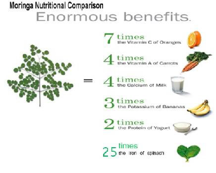 Voordelen van Oleifera Moringa